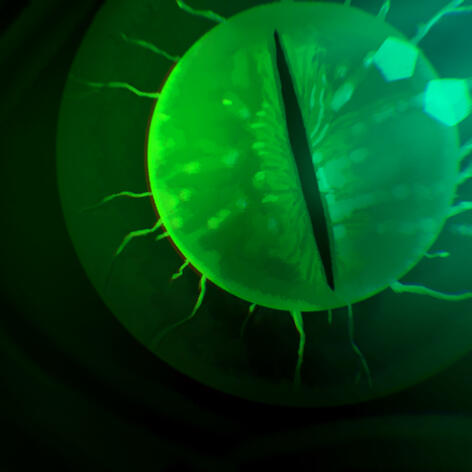 Game Icon - Nocturner